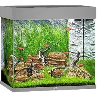 Juwel Aquarium Lido 120 Led Met Filter Grijs