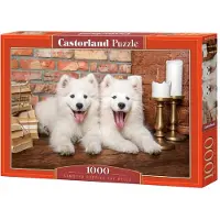 Castorland Samoyed Puppies Say Hello Puzzel (1000 stukjes)