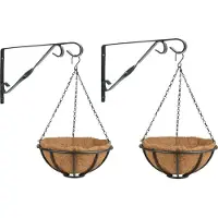 Esschert Design Set van 2x stuks Hanging baskets 30 cm met muurhaken - Complete hangmand set van metaal