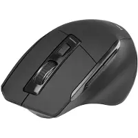 Tracer Cozy, geschikt voor rechtshandigen, optisch, draadloos (RF), 1600 DPI, zwart