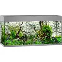 Juwel Aquarium Rio 180 Led Met Filter Grijs