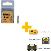 Dewalt Accessoires 25mm schroefbit voor Torx schroeven T20 - DT7266-QZ