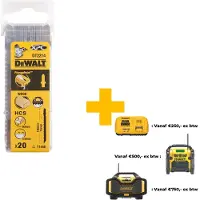 DeWalt DECOUPEERZAAGBLAD XPC - HCS 100X6X60MM (T144D) DT2214-QZ