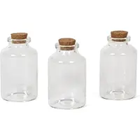 Gerimport Kleine Flesjes - 60x - glas - kurken dop - 30 ml - traktatie uitdeelflesjes - set mini glazen flesjes met kurk