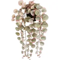 Mica Decorations Ceropegia Woodii Collar De Corazones Rosa Kunstplant