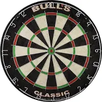 Bulls The Classic Dartboard (4 Meter with Ring)