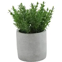 Countryfield Kunstplant/kruiden thijm - Countryfield - in grijs cement potje - 19 cm - kruiden - Kunstplanten