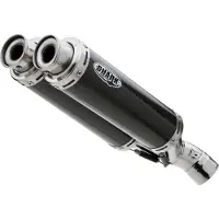Shark Auspuff Track 1000 carbon