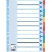 Esselte - Tabbladen A4 11R karton 12-delig met voorblad | 1 set | 10 stuks