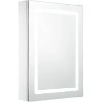 vidaXL LED-spiegelkast, 50x13x70 cm