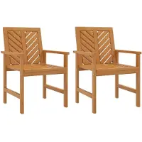 vidaXL Tuinstoelen 2 st massief acaciahout