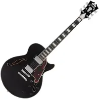 D'angelico Premier Ss Black Flake