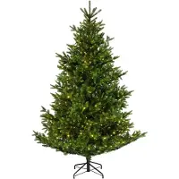 Everlands Nordmann bm fir prelit d165h240cm wwt