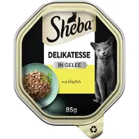 Sheba 20x delicatesse in gelei 85 g kip