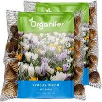 Organifer 200 Krokussen Bloembollen - Bloembollen Krokus - Krokus - Bloembollen Mix - Biologische Bloembollen - Zomerbollen - (XXL Bloembollen Formaat 8/9 cm) -