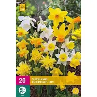 Jub holland - bloembollen - Narcissen Botanisch Mix - maat 10/12 - 20 stuks