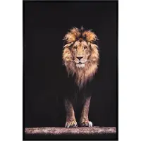 Noach Outdoor Canvas schilderij Lion