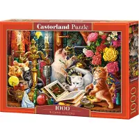 Castorland Wizard Kittens Puzzle 1000 Teile