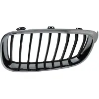 BLIC Radiatorrooster 6502-07-0081991GP