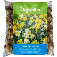 Organifer 50 Narcissen Bloembollen - 6 Elegante Soorten - Bloembollen Narcis - Narcis Bollen - Biologische Bloembollen Mix - (XXL Bloembollen formaat 12/ 14 cm) -