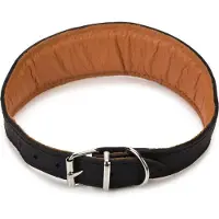 Beeztees Rondo Windhond - Hondenhalsband - 42-50 cm x 50 mm