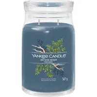 Yankee candle Geurkaars Large Jar Bayside Cedar Signature 567 gr