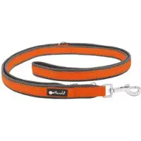 Petlando Dressuurlijn Outdoor oranje - verstelbare hondenlijn maat M - 230 cm x 2.5 cm