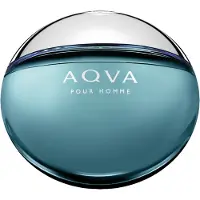 Bvlgari Herengeuren Aqva Pour HommeEau de Toilette Spray