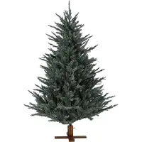 Molecule Our Nordic Christmas 31HARKB228 Arkansas Frosted Blue Wooden DB Base - 228 cm