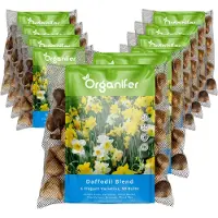 Organifer 500 Narcissen Bloembollen - 6 Elegante Soorten - Bloembollen Narcis - Narcis Bollen - Biologische Bloembollen Mix - (XXL Bloembollen formaat 12/ 14 cm) -