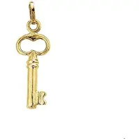 The Jewelry Collection Geelgouden Hanger sleutel 4001701