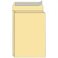 Quantore Envelop quantore monsterzak 262x371x38 170gr zk cr | Doos a 125 stuk