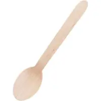 Fiesta Green Lepel Hout 17cm - 100 stuks - - 100% biologische afbreekbare houten wegwerp dessertlepels