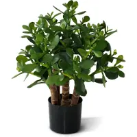 Maxifleur Kunstplanten Crassula kunst vetplant 40cm