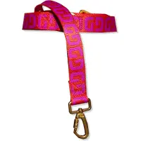 DOGGUO Hondenriem (2x200) S - DG LEASH PURPLE / RED