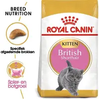 Royal Canin 2x British Shorthair Kitten 2kg