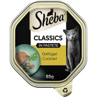 Sheba 20x Classics in paté 85 g Gevogelte Cocktail