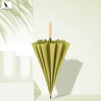 San vitale - Paraplu met Houten Handvat - Ø 105 cm - Paraplu opvouwbaar - Paraplu's - Groen