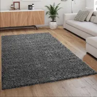 Paco Home Hoogpolig Vloerkleed, Shaggy Voor Woonkamer, Zacht Pluizig Bestendig Sterk 60x100 cm