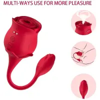 Armony - ROOS LIKKEN VIBRERENDE DE CLITORIS & VIBRATOR 10 STANDEN ROOD | VIBRATOR VOOR VROUW | SEKSSPEELTJES VOOR VROUW | SEX TOYS VOOR VROUW | VIBRATOR | PREMIUM VIBRATOR