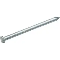 Homefix draadnagel Ankernagels. platkop verzinkt 6.0x65mm