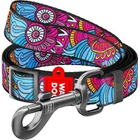 Waudog nylon hondenriem, patroon "Zomer", 25 mm breed, lengte 152-183 cm