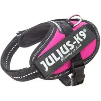 JULIUS K-9 IDC Powertuig Dark Pink - Maat Baby 2