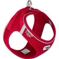 Curli Magneetvest harnas Air-Mesh V2 rød XS (XS, Hond, Algemeen), Kraag + Leiband
