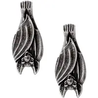 Alchemy Gothic - Gothic Oorbel - Before Dusk - voor Vrouwen - zilverkleurig - Maat Standard
