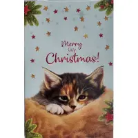 Franciens katten Kerstkaarten kitten in deken - - 8 dubbele wenskaarten met enveloppen - merry cozy christmas kerst