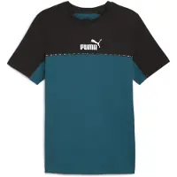 Puma Functioneel shirt 'Essentials'