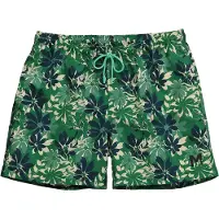 Men Plus Zwemshorts beige / navy / groen