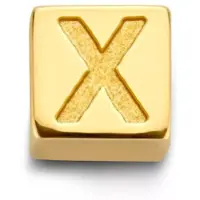 Isabel Bernard Hangers 'X' goud
