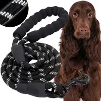 Springos Hondenriem - Looplijn - Trainingslijn - Hondenlijn - 5 M - Tot 50 Kg